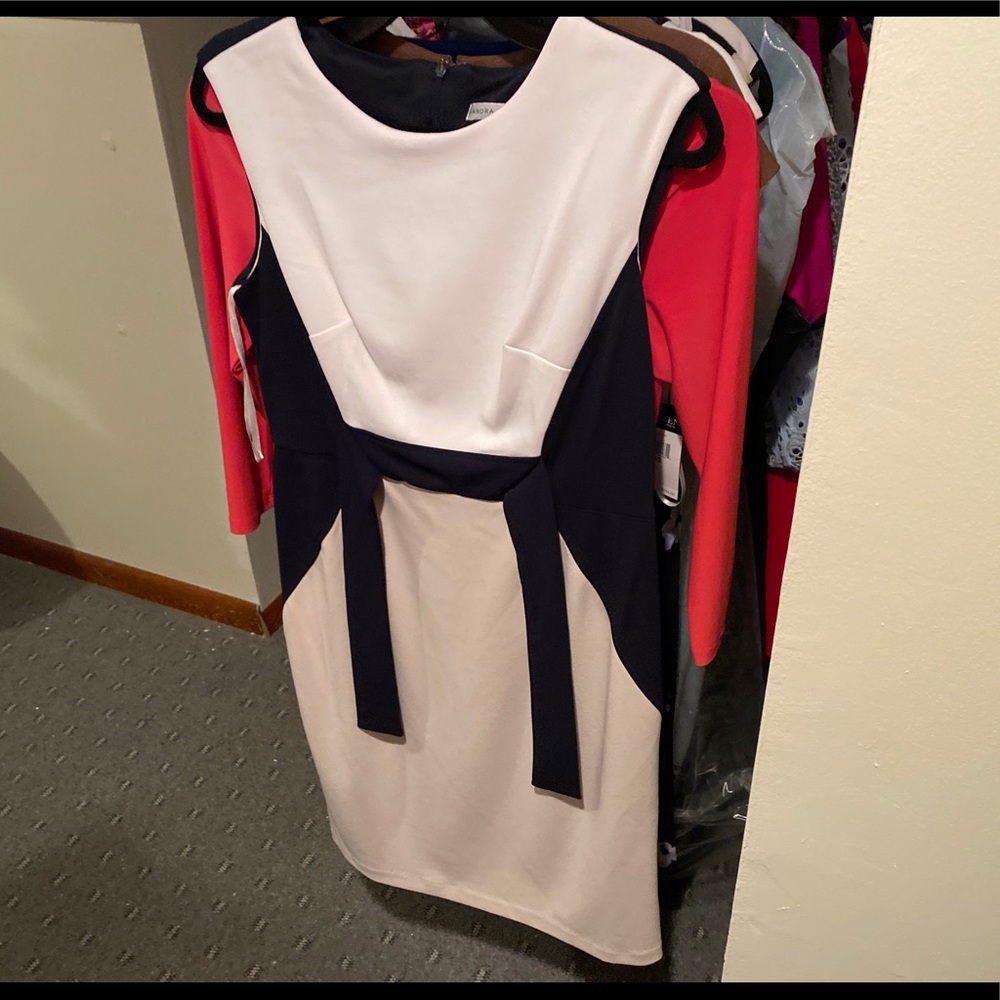 Sandra Darren Colorblock Dress